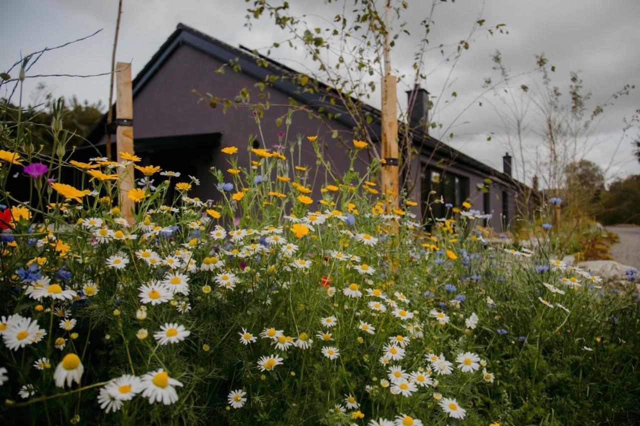 Villa The Deerstone Luxury Eco Hideaway à Laragh Extérieur photo