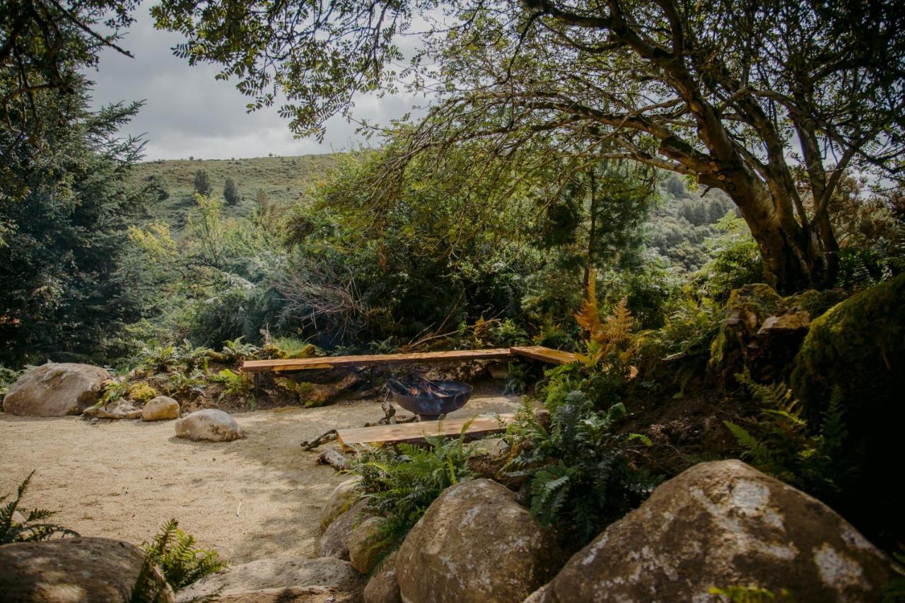 Villa The Deerstone Luxury Eco Hideaway à Laragh Extérieur photo