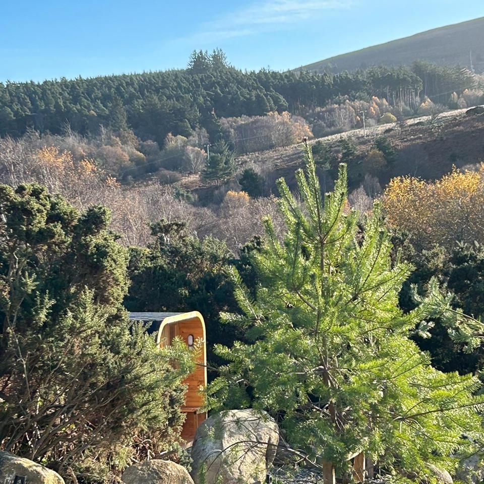 Villa The Deerstone Luxury Eco Hideaway à Laragh Extérieur photo