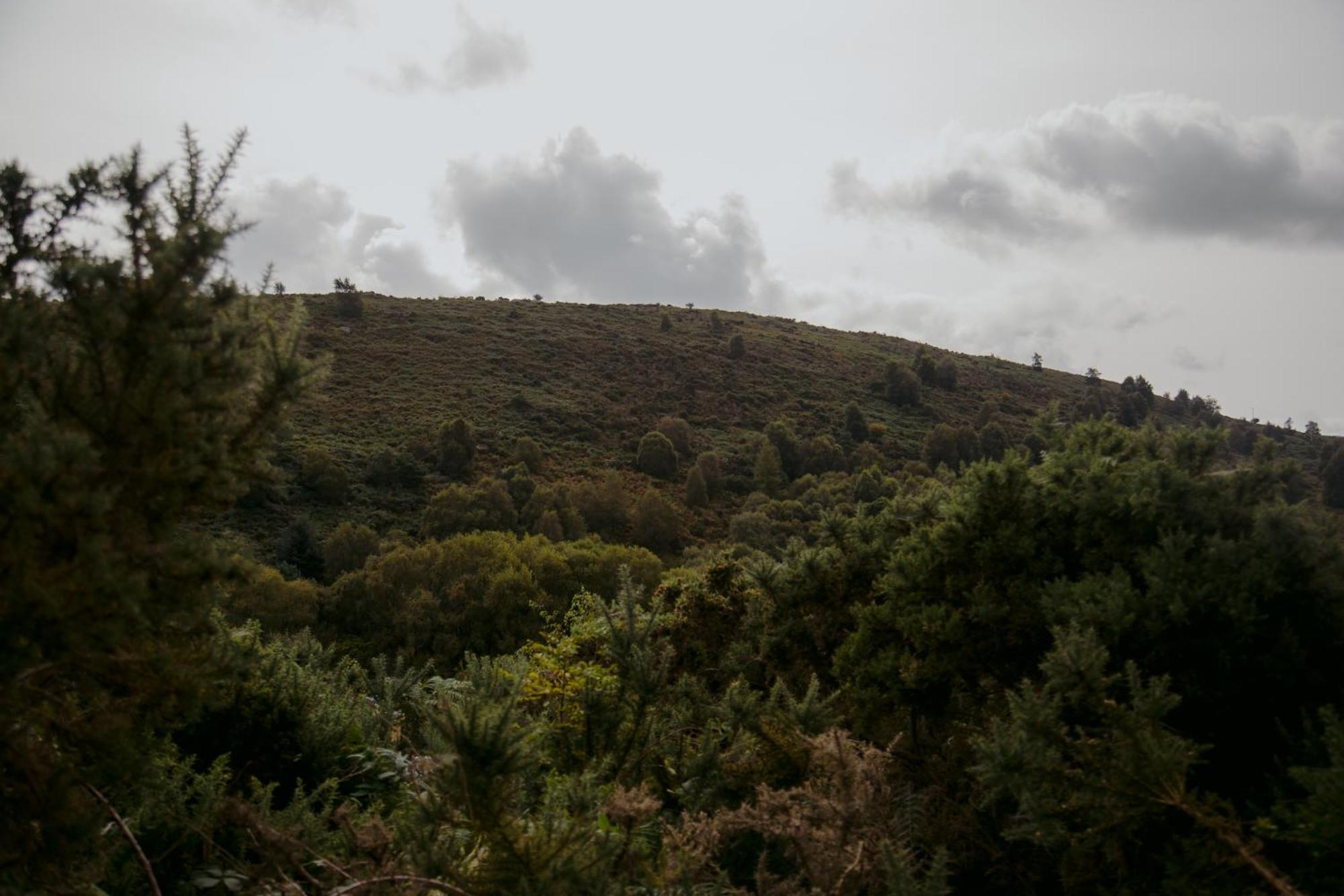 Villa The Deerstone Luxury Eco Hideaway à Laragh Extérieur photo