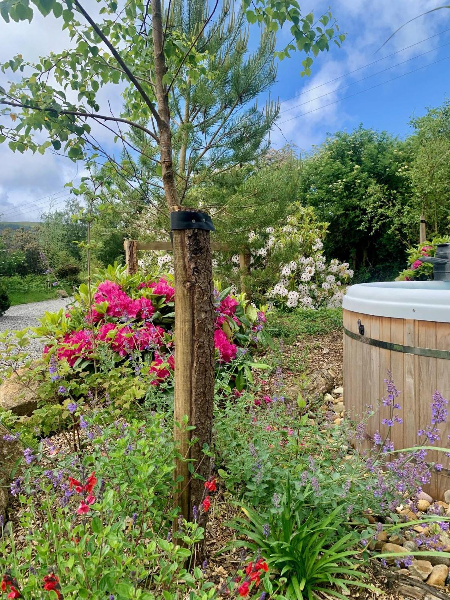 Villa The Deerstone Luxury Eco Hideaway à Laragh Extérieur photo