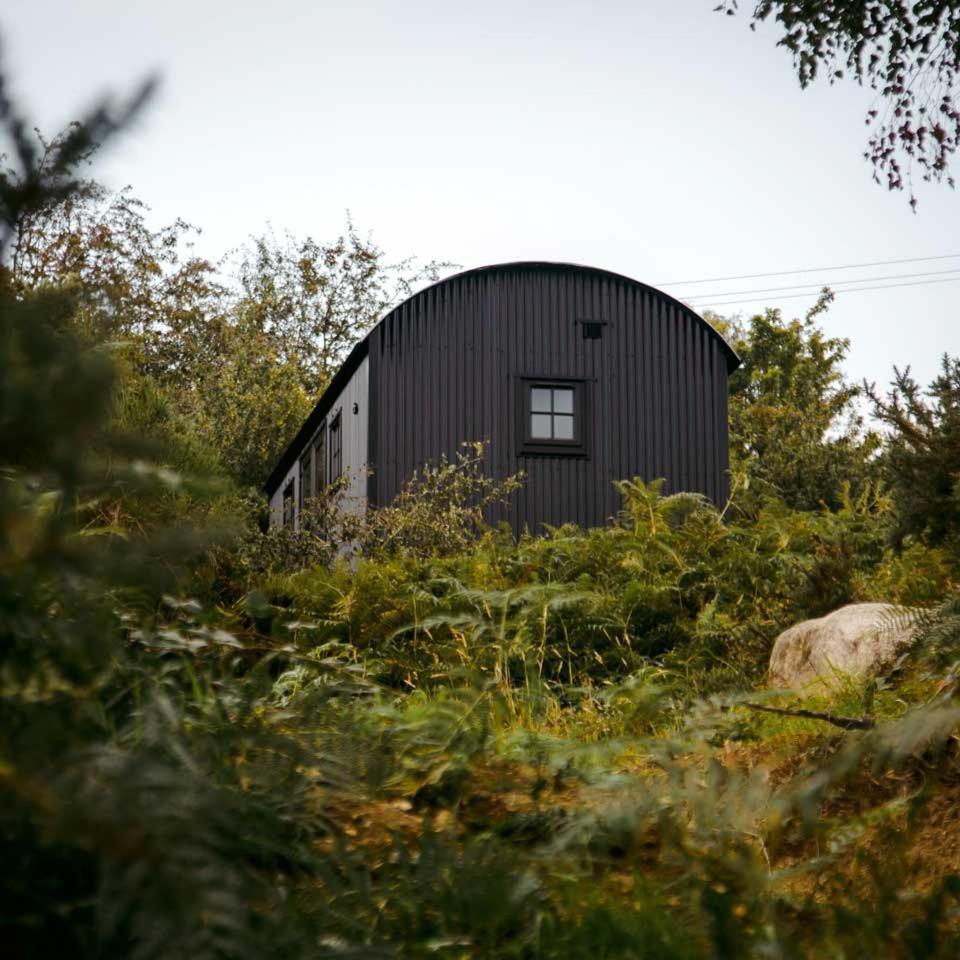 Villa The Deerstone Luxury Eco Hideaway à Laragh Extérieur photo